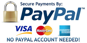 Paypal Logo