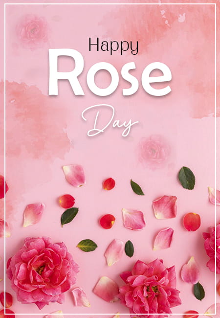 Different Colored Roses and Their Meanings on Rose Day