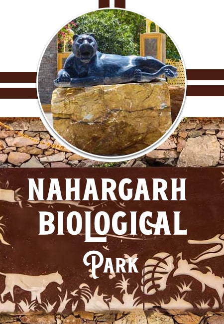 Exploring Nahargarh Biological Park: A Nature Enthusiast's Paradise