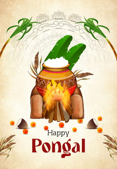 From Bhogi Bonfires to Thai Pongal: A Complete Guide to Four-Day Festivities