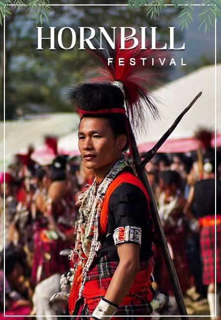 Hornbill Festival: Nagaland’s Spectacular “Festival of Festivals”