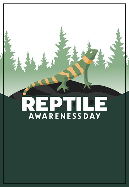 Reptile Awareness Day: Celebrating Nature’s Scaled Wonders and Their Vital Role