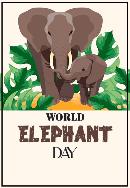 The Heart and Soul of the Wild: Understanding Elephants on World Elephant Day