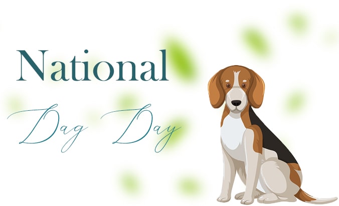 Happy National Dog Day